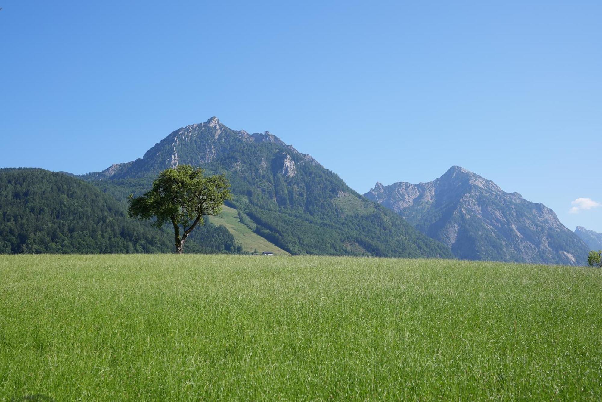 Bergblick 411 Am Wolfgangsee Strobl Zimmer foto